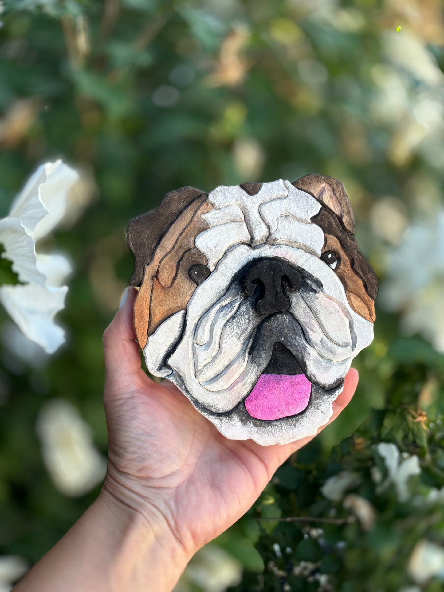Pet Portrait