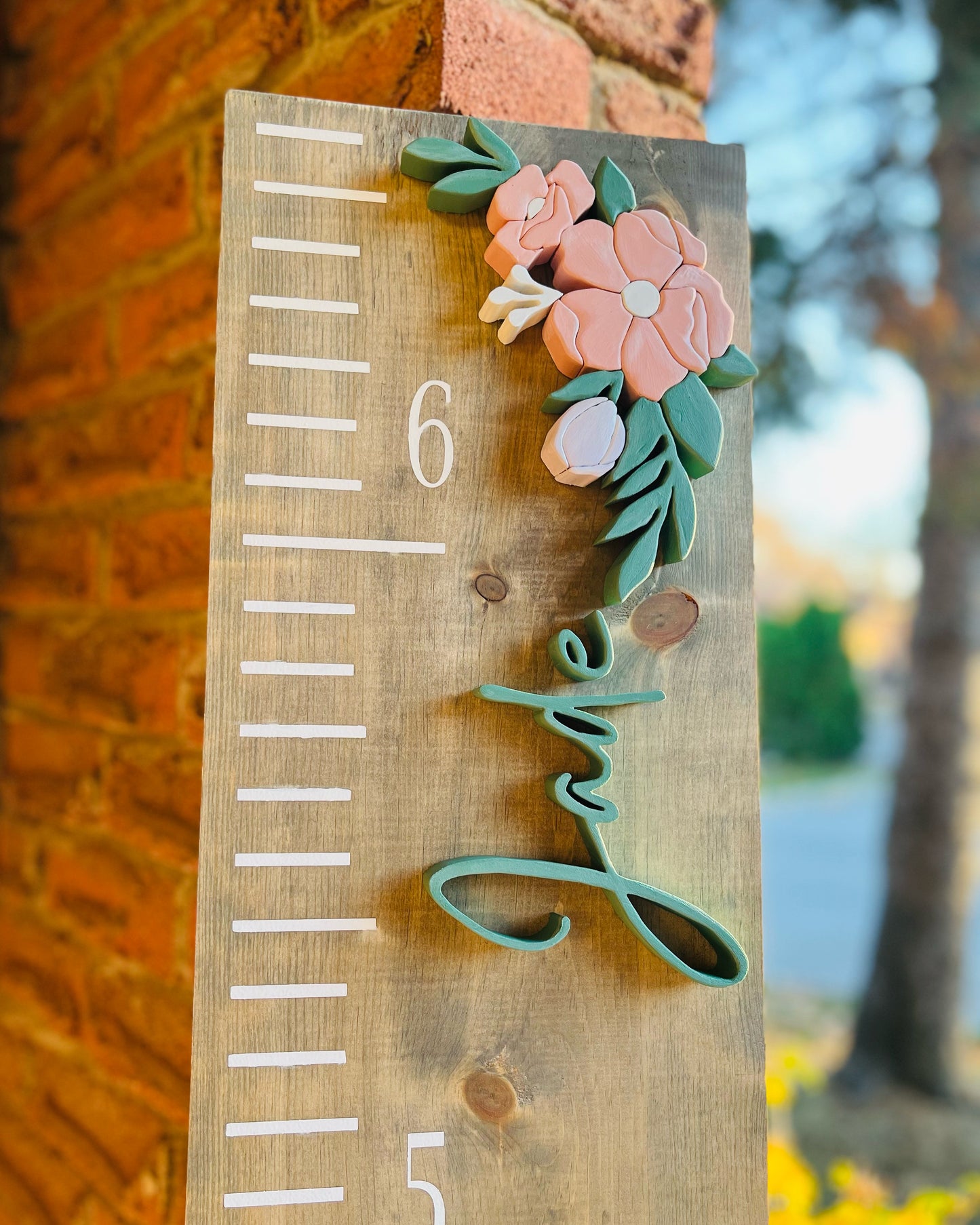 Custom 3D Growth Chart